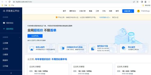 CSDN開發云 全面體驗云上產品功能與打造深度網絡安全軟件開發之路
